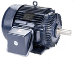 Leeson Crusher Duty Motor Image