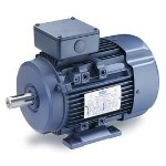 Leeson IEC Motor Image