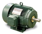 Leeson Severe Duty Motor Image